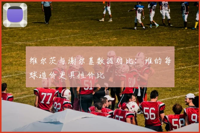 维尔茨与谢尔基数据对比：谁的每球造价更具性价比